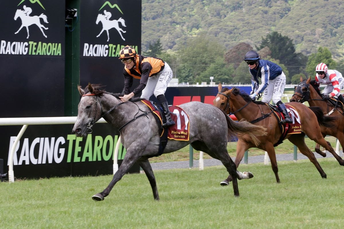 Gibbs hoping to reap rewards with Sweet But Psycho