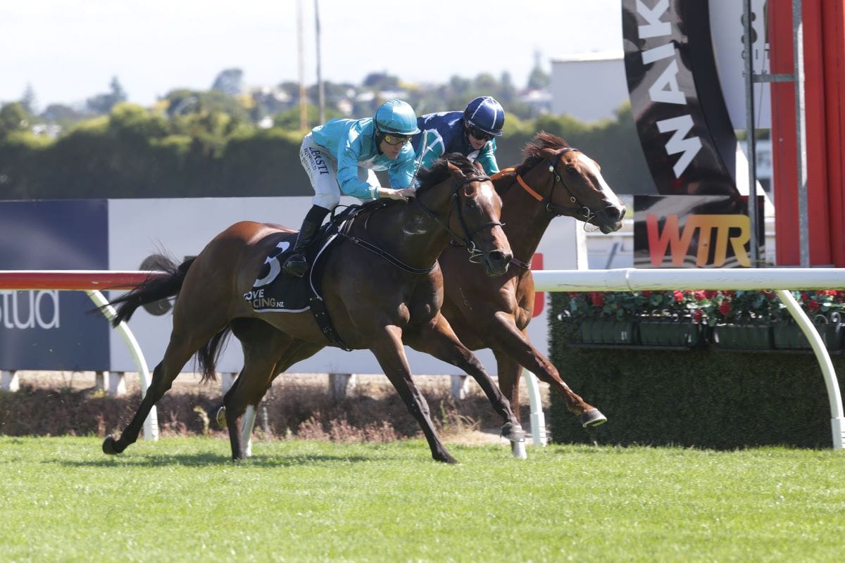 Sweynesday continues rapid rise