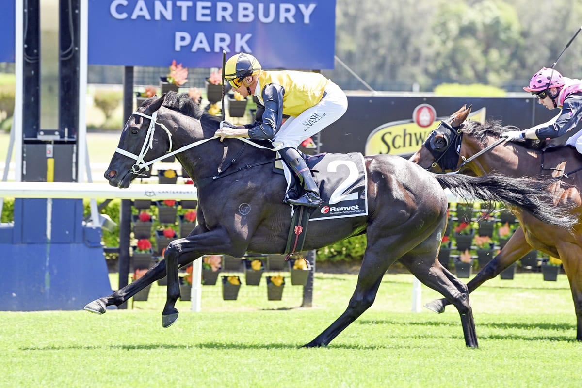 Sounds Unusual shows promise at Canterbury