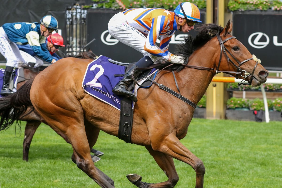 Bellatrix Star's freak injury