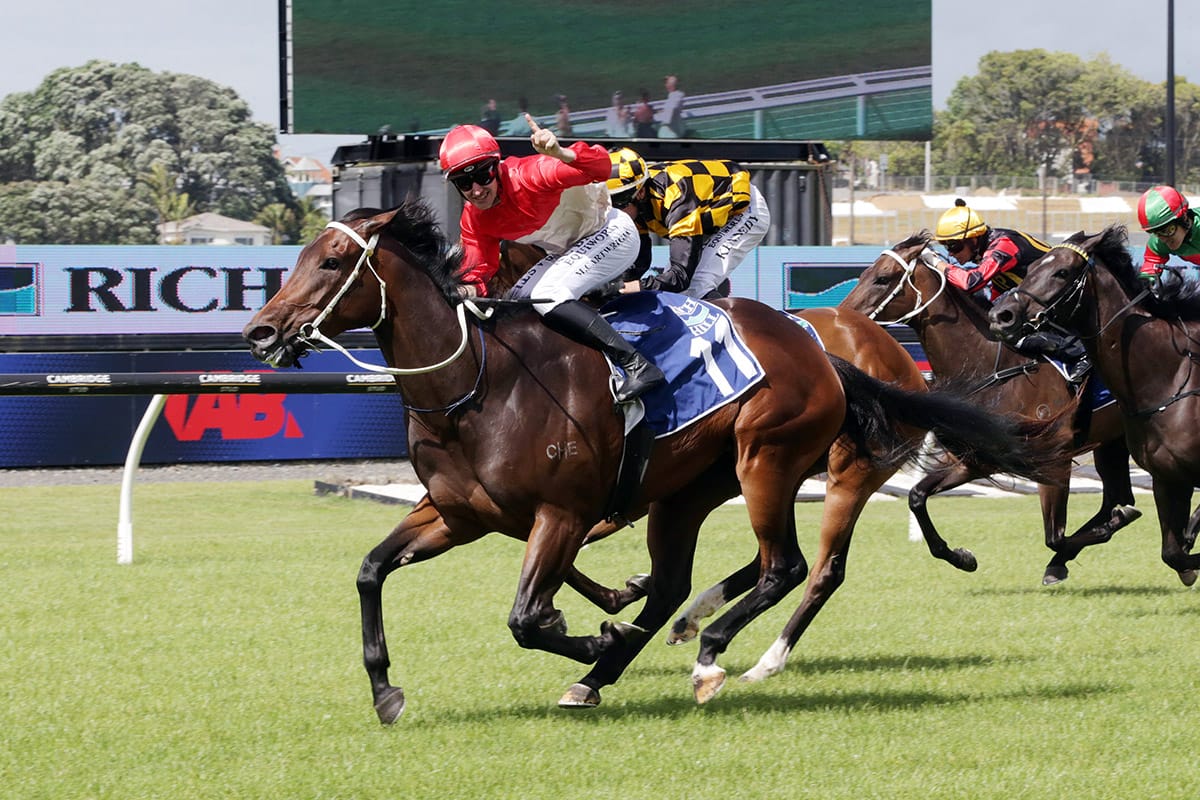 Bourbon Empress Shows Her Class in Rich Hill Mile