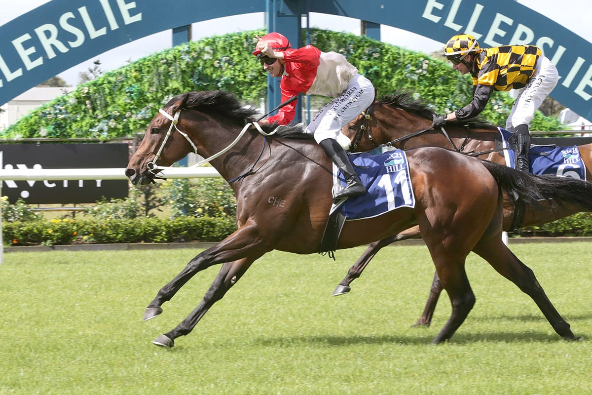 Marsh's Team Primed for Karaka Millions Glory