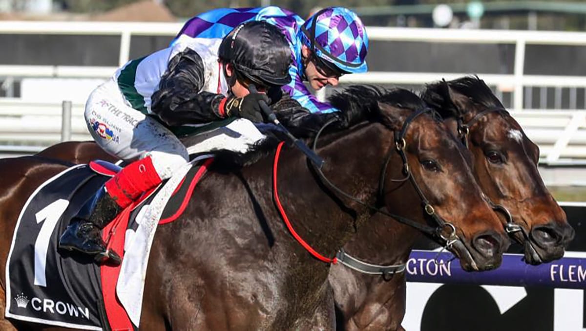 Mr Brightside Primed for Exciting Campaign