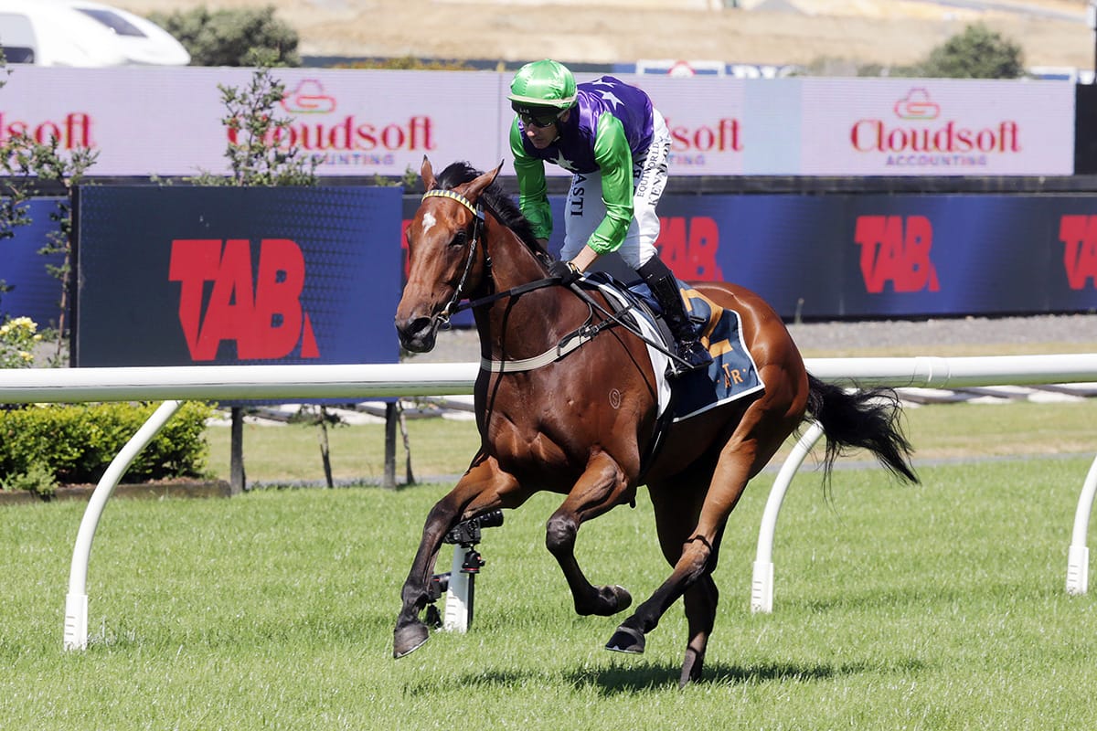 Wexford Make Decisive Move with NZB Kiwi Slot Pick