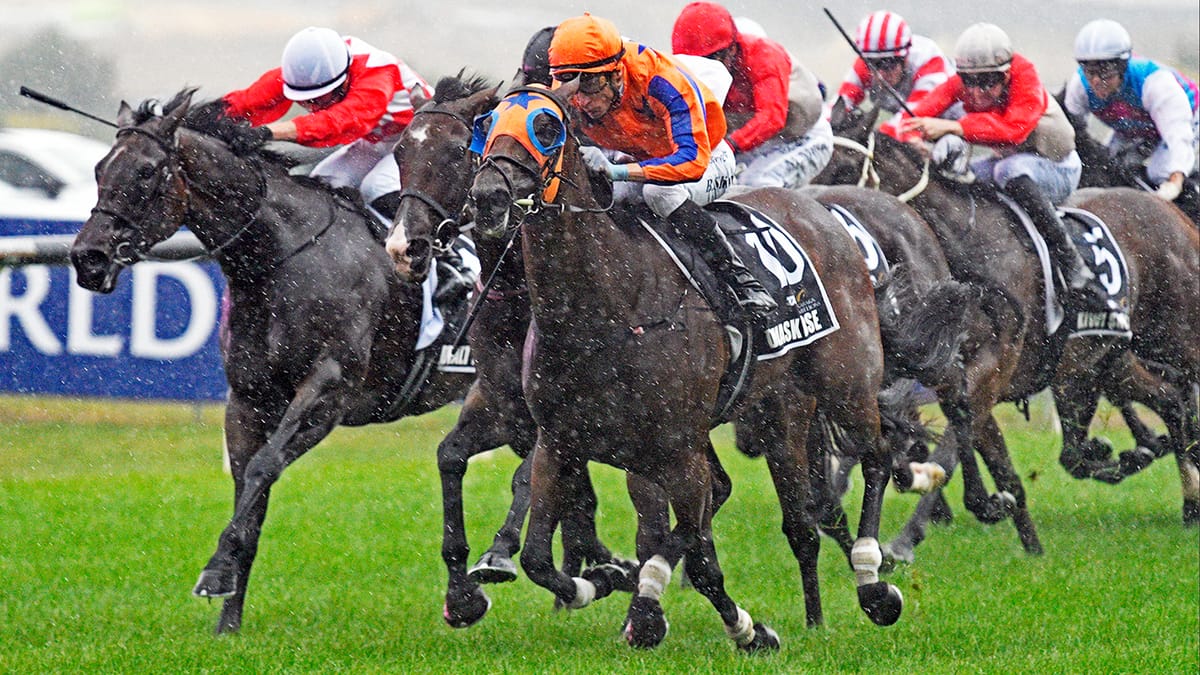 Damask Rose brilliant in Karaka Millions 3YO