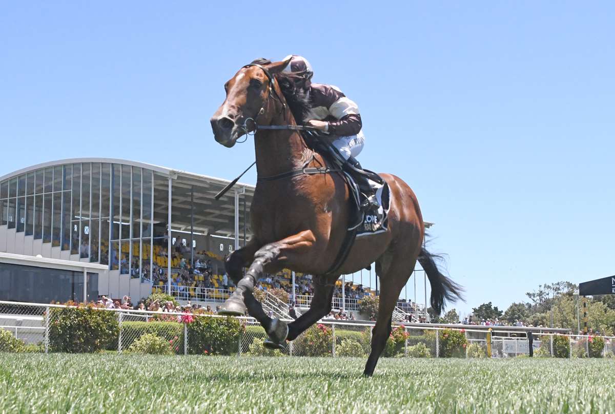 Wink could turn into a rich payday for Sharrock