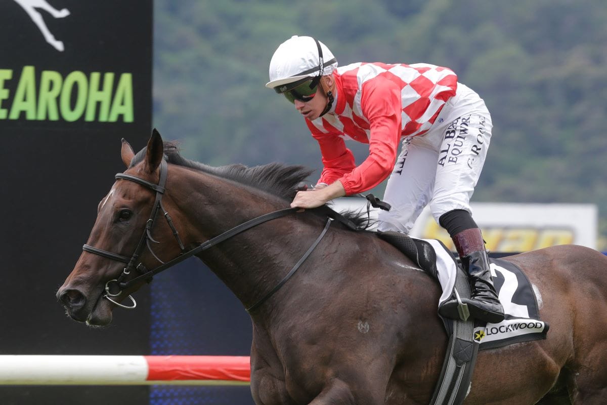 Debutant deals to maiden rivals