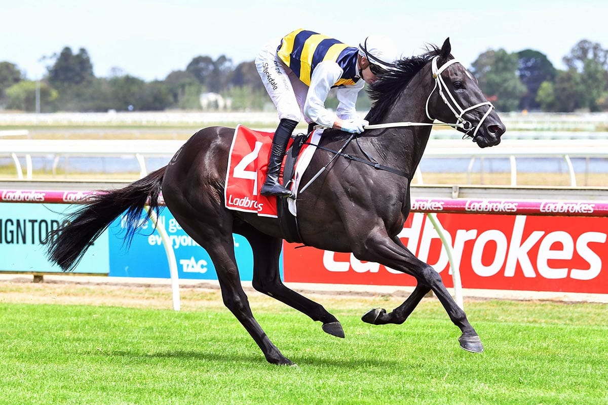 Embellish’s son in Derby picture