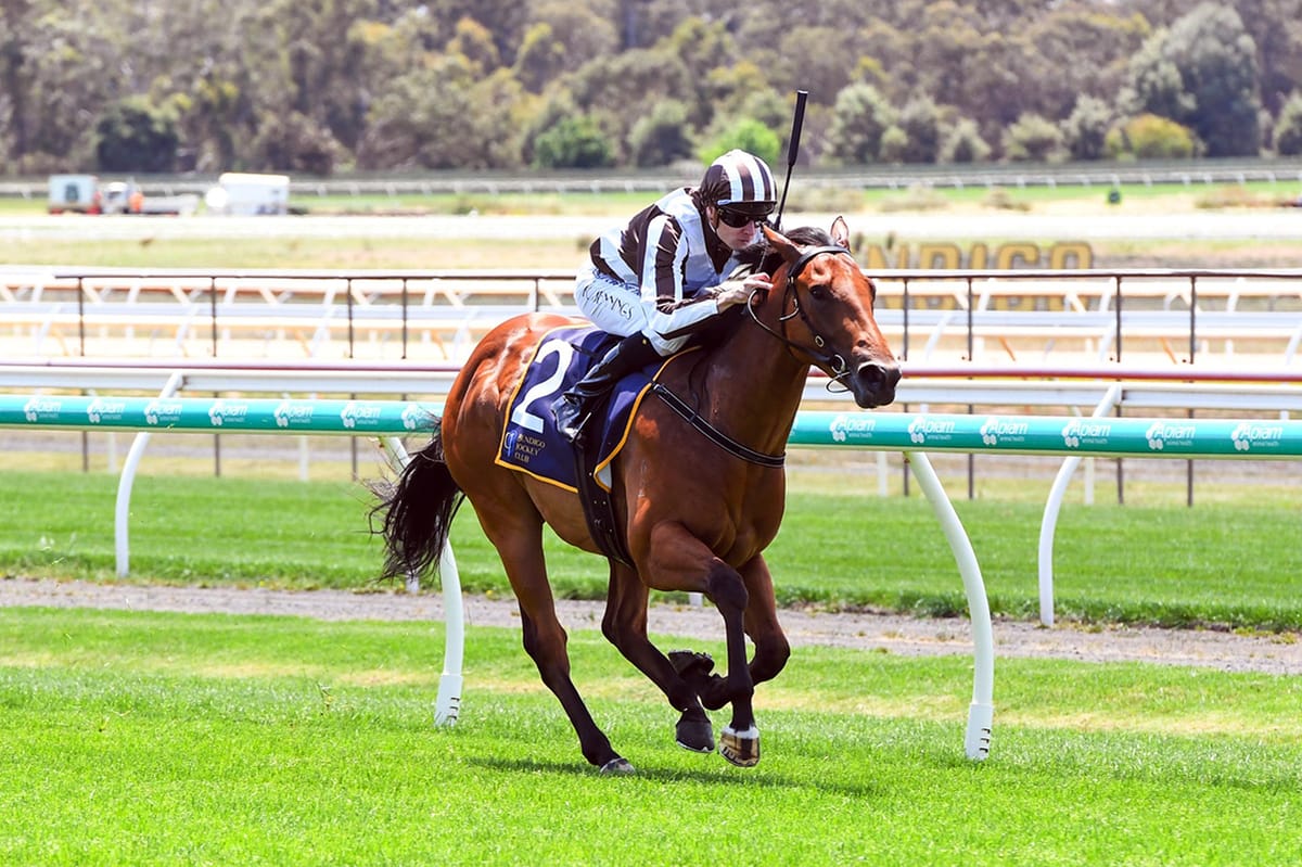 Colt Leads Hayes Team's Double Feature Quest