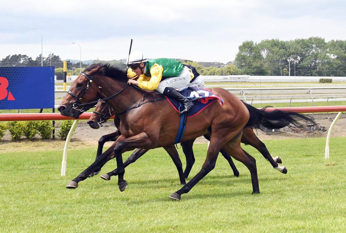 Derby is the best fit for Forsman’s gifted filly