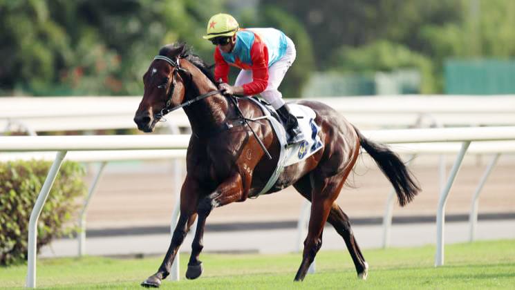 New Zealand bred sprinters sit atop of the world