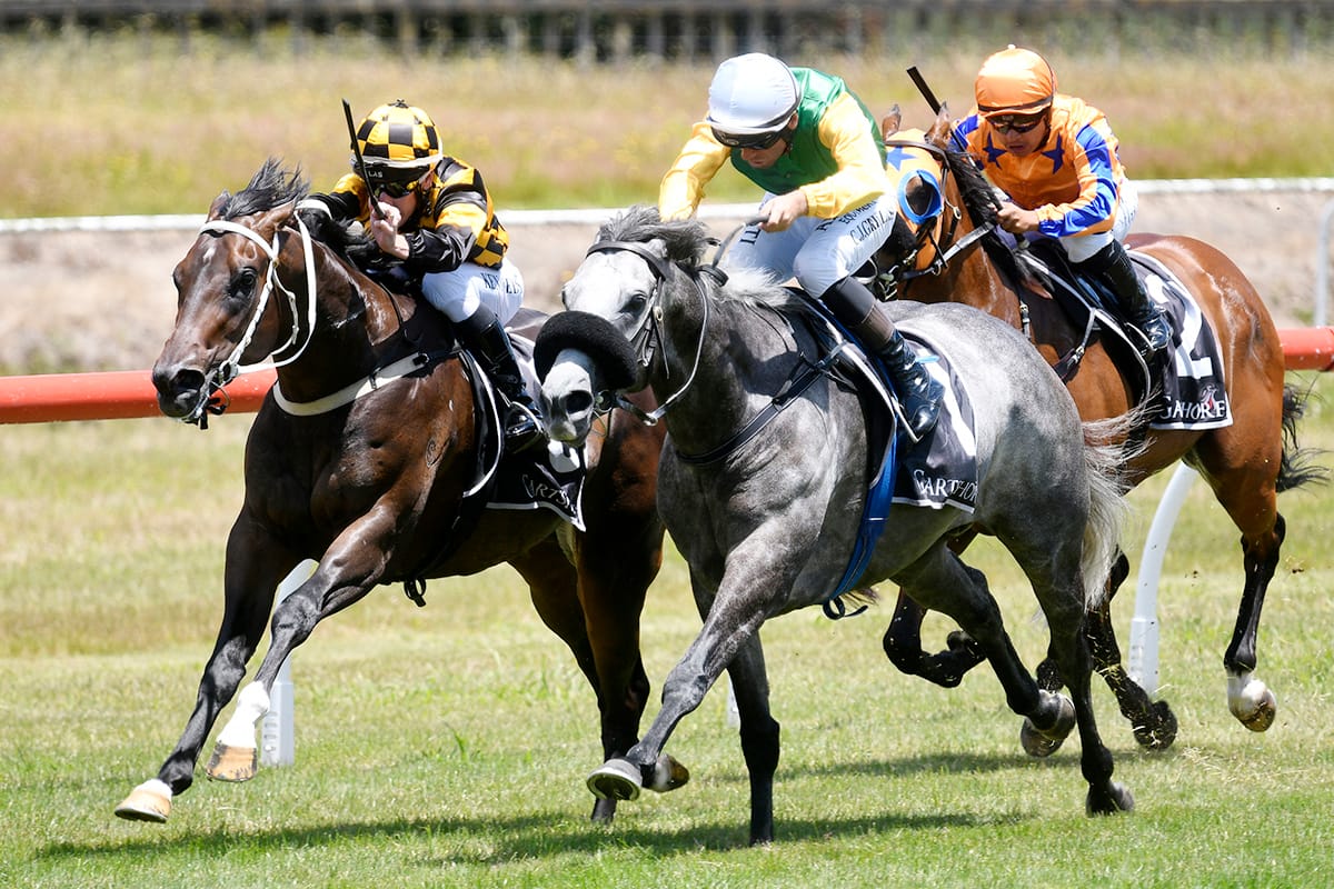 Puketiro Triumphs at Tauranga
