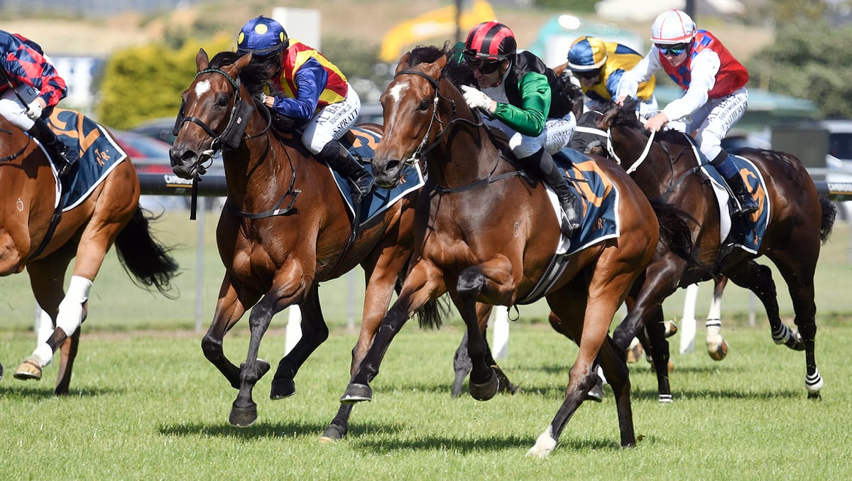 Son of Sun Sparkles in Queen Elizabeth