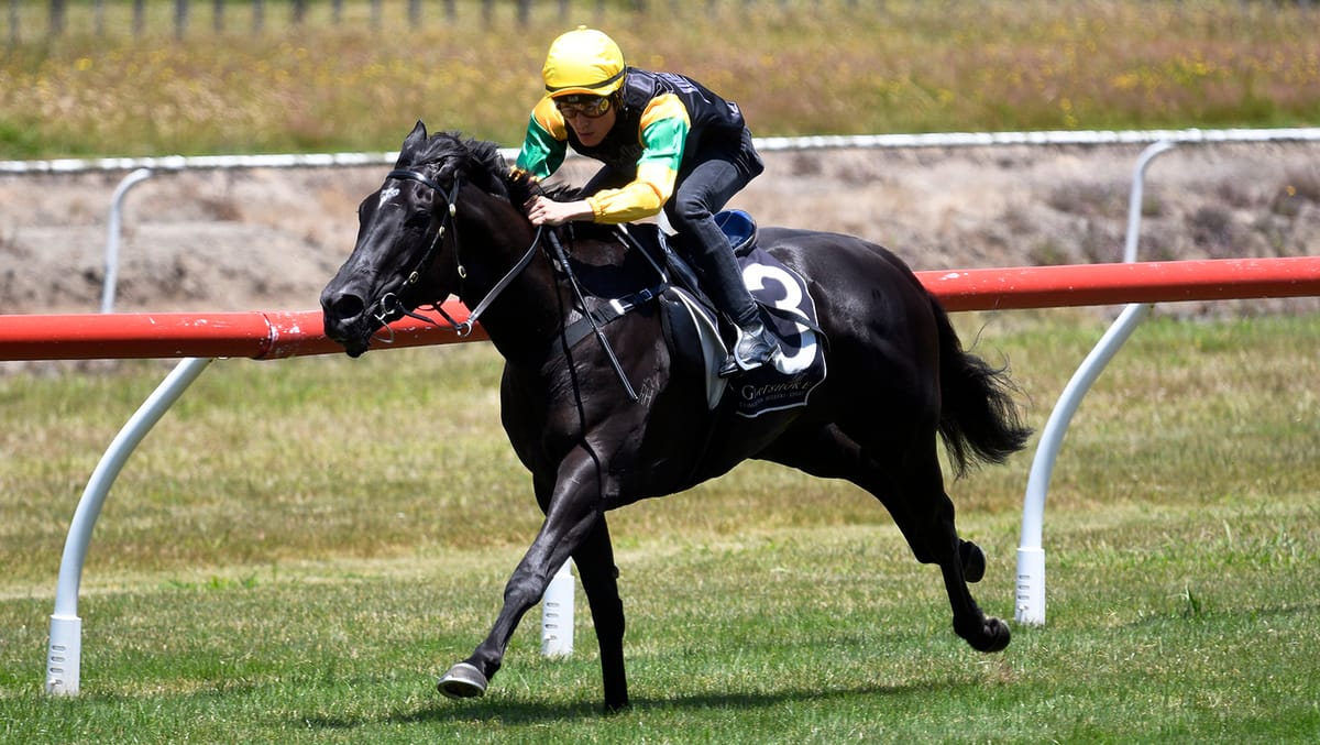 Forsman Delighted with Tauranga Trial Performance