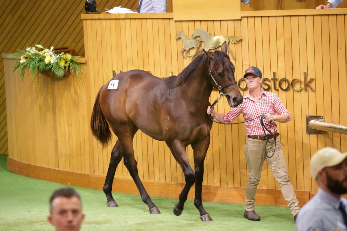 Hong Kong strike early at Karaka