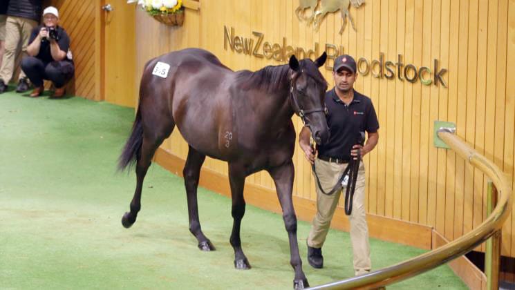 Green Celebrates Fairytale Sale