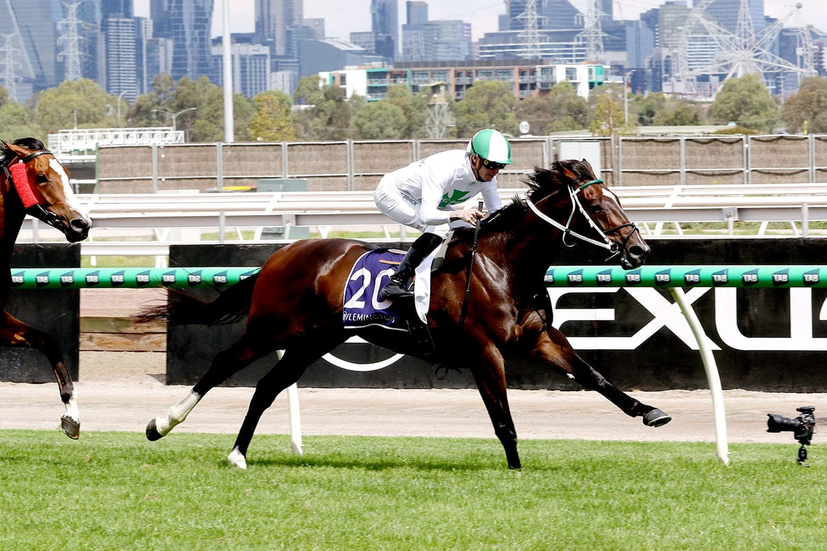Name Dropper dictates for Flemington triumph
