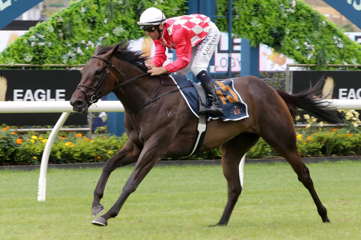 Blueblood fillies lead Haunui’s Karaka offering