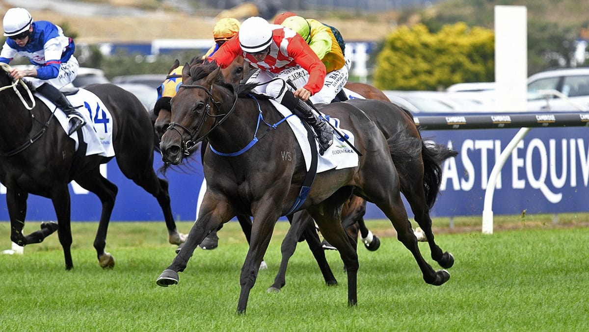 Orchestral plays a winning tune at Ellerslie