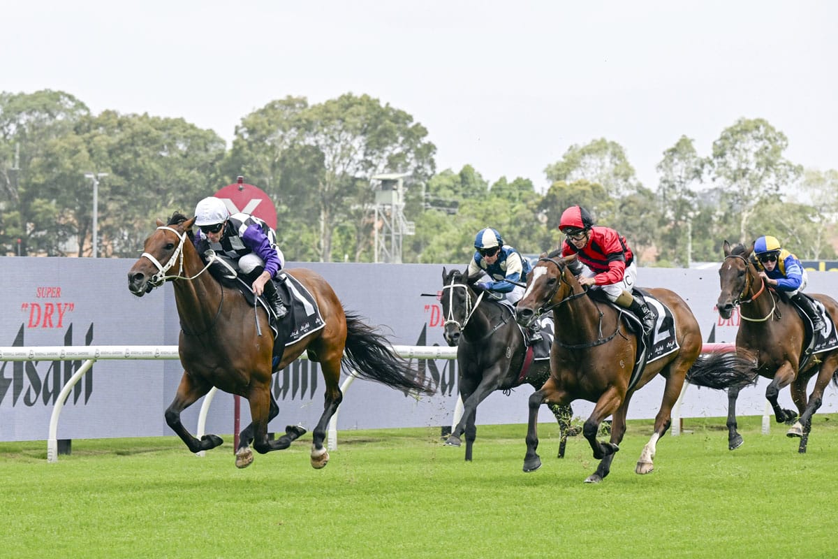 Osipenko returns to winners list in January Cup