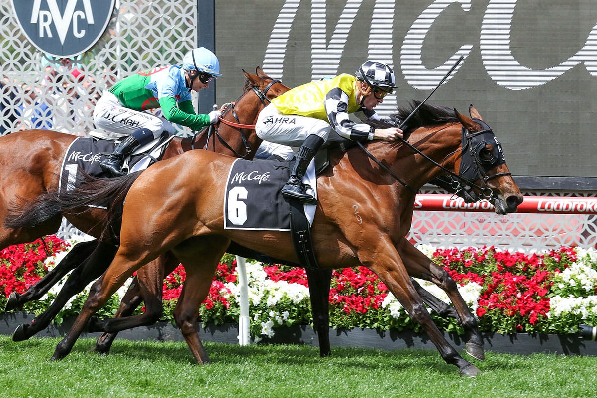 Hallmark eyeing another dream result at Karaka