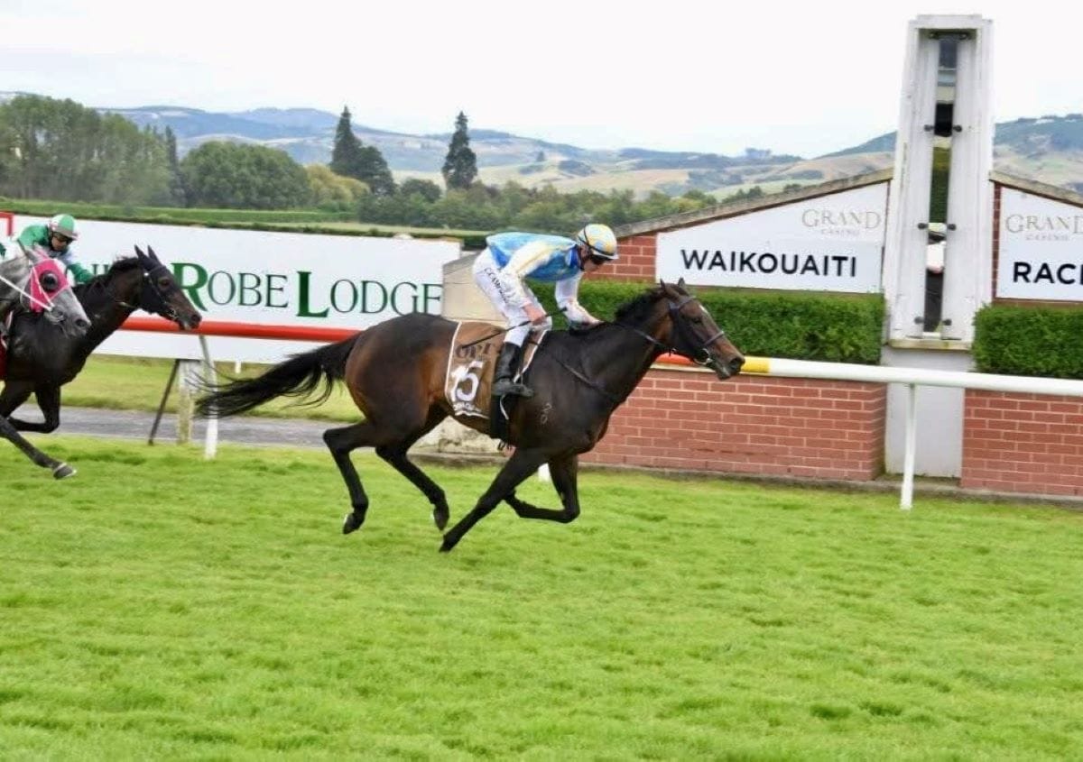 Campbell collects four-timer at Wingatui