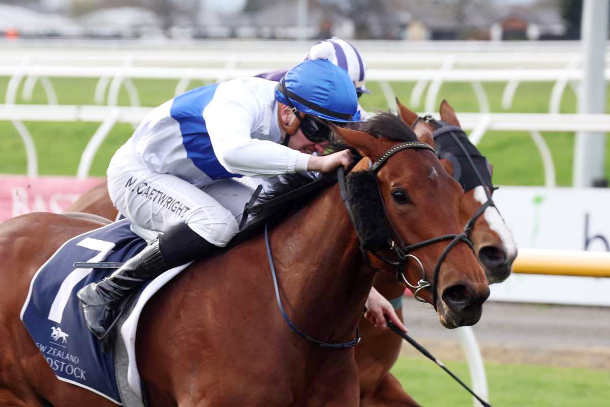 Timely Salver test for promising staying 3YO