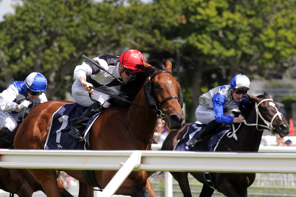Promising Filly Shines in Ellerslie Feature