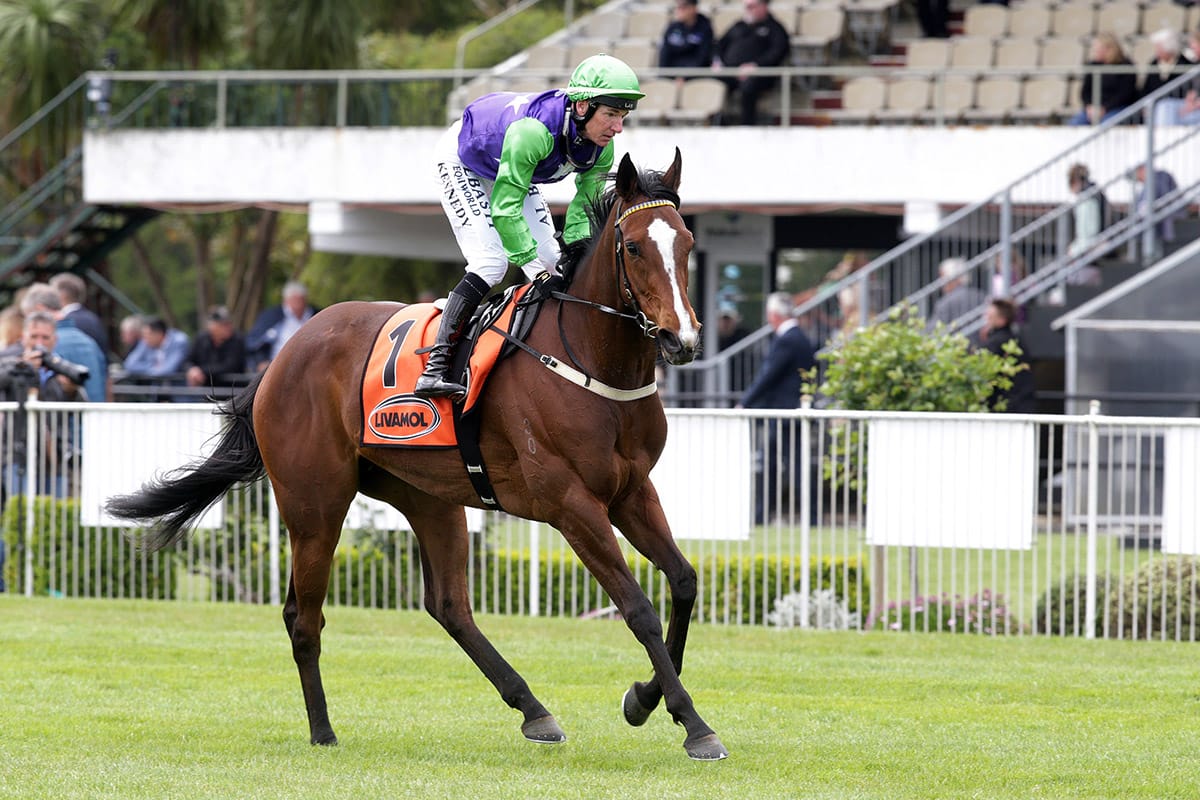 Wexford tackle Trentham features with small but select team