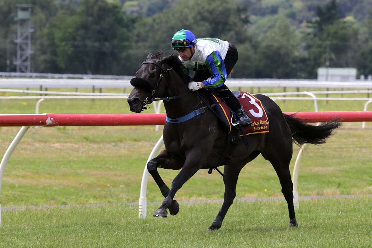 Walker on weather watch ahead of Skew Wiff’s Telegraph tilt