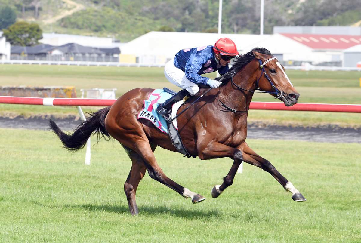 Stud Boosted by Sale Ahead of Group Race