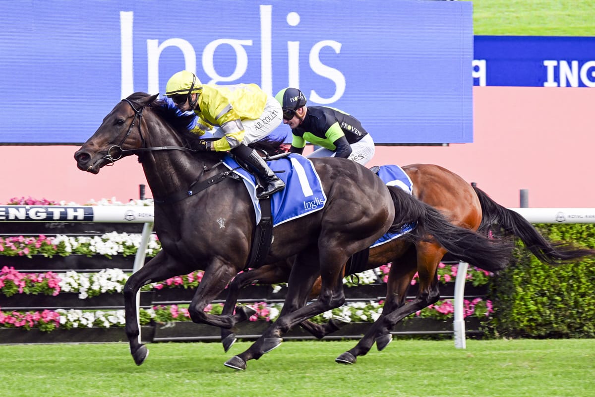 With Your Blessing bounces back at Randwick