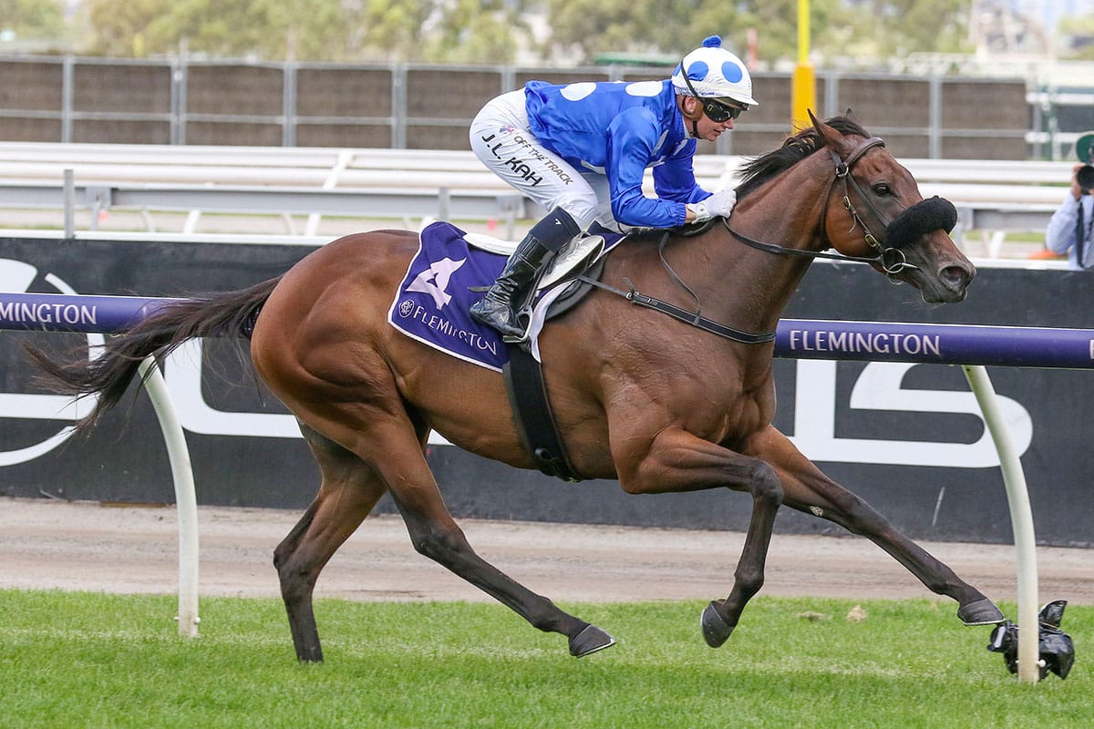 Arataki Chases Back-to-Back Bellmaine Wins