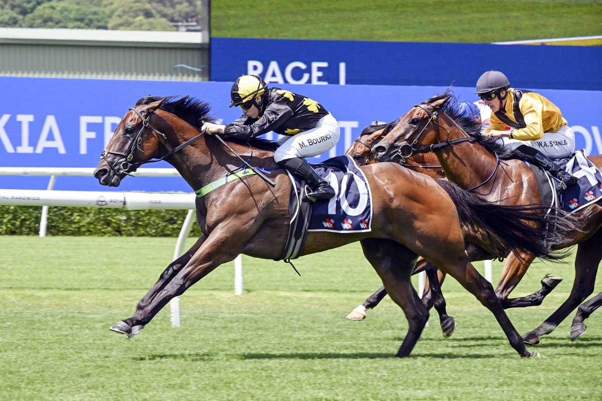 Photographics impresses again at Randwick