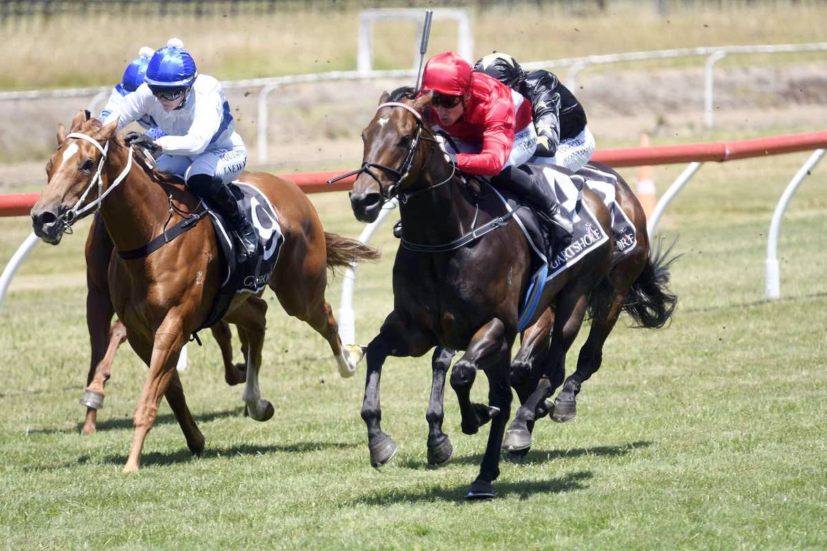 Atmospheric Set for 3YO Feature Test