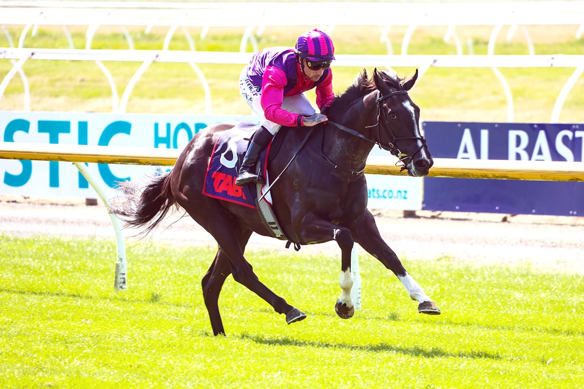 Best Rose shines with impressive second-up performance