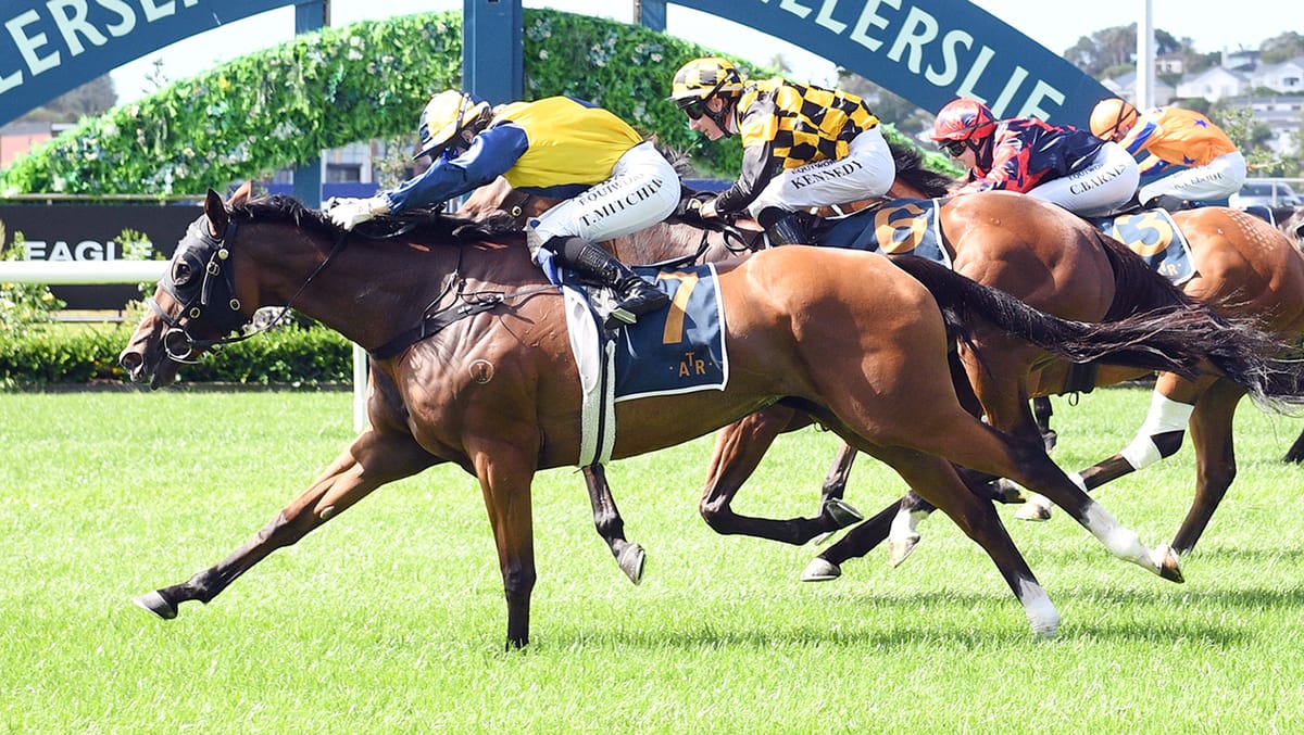 Blue Sky at Night Clinches Upset Cup Double