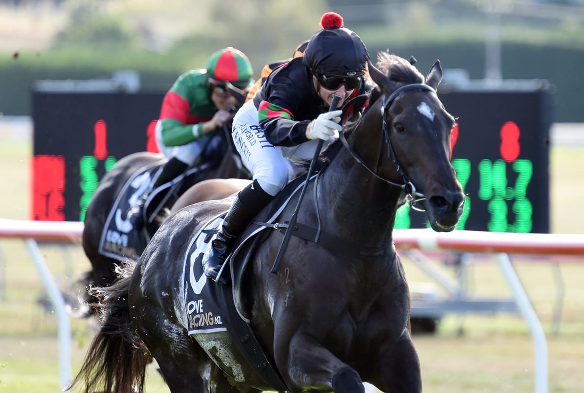 Channel Surfer Shines Fresh-Up at Taupo