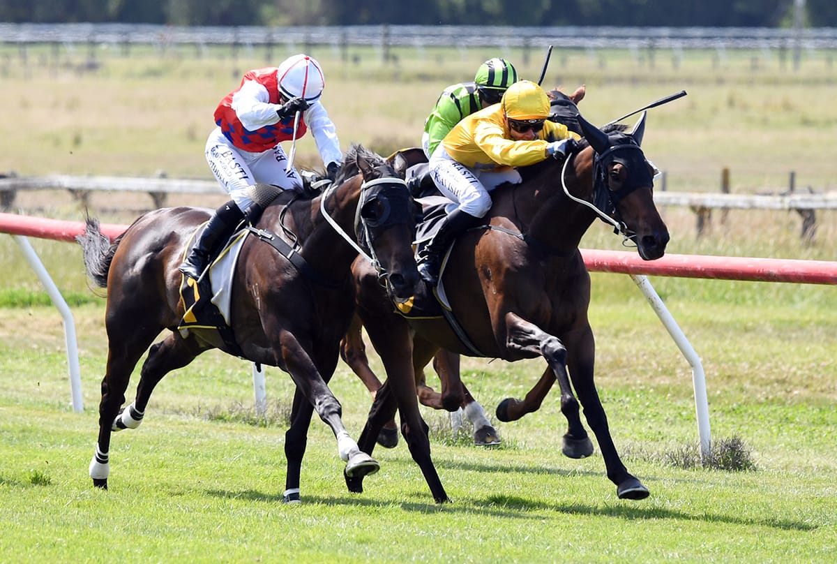 Danjuro beginning to find his stride