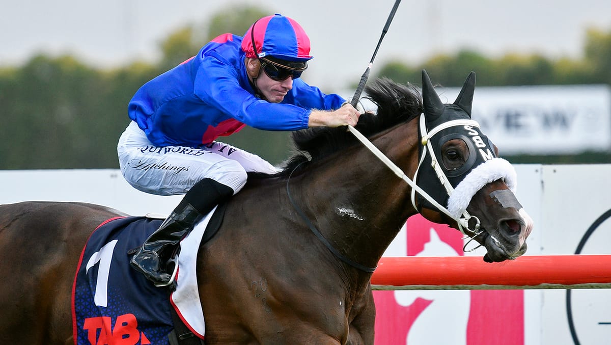 El Vencedor dominates Herbie Dyke Stakes