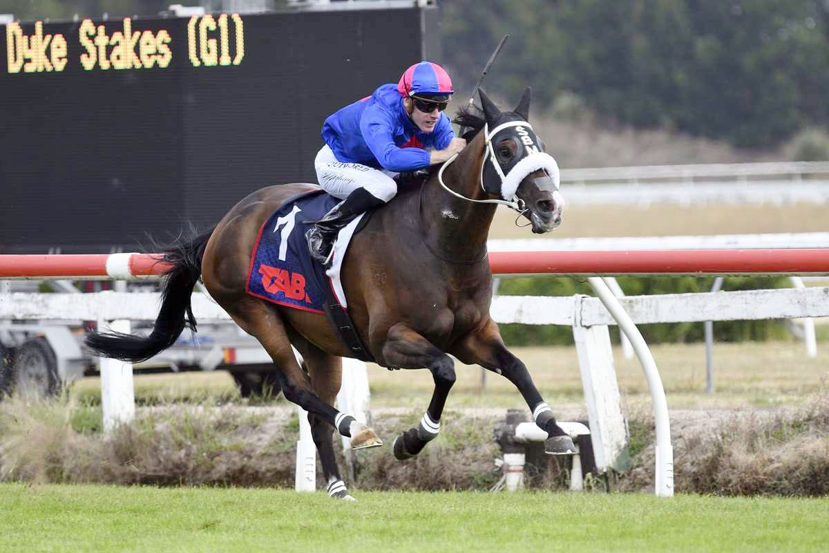 Hong Kong adventure awaits El Vencedor