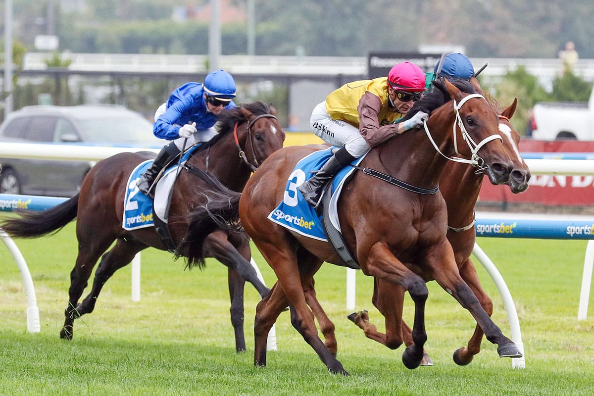 Diamond calling Field Of Play