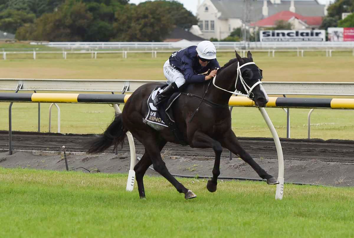 Brazen mare back on track at New Plymouth