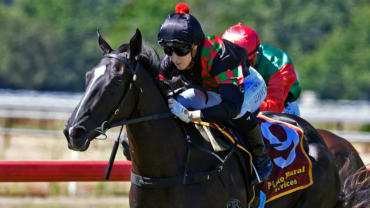 Lodi Dodi heads to the paddock after debut win