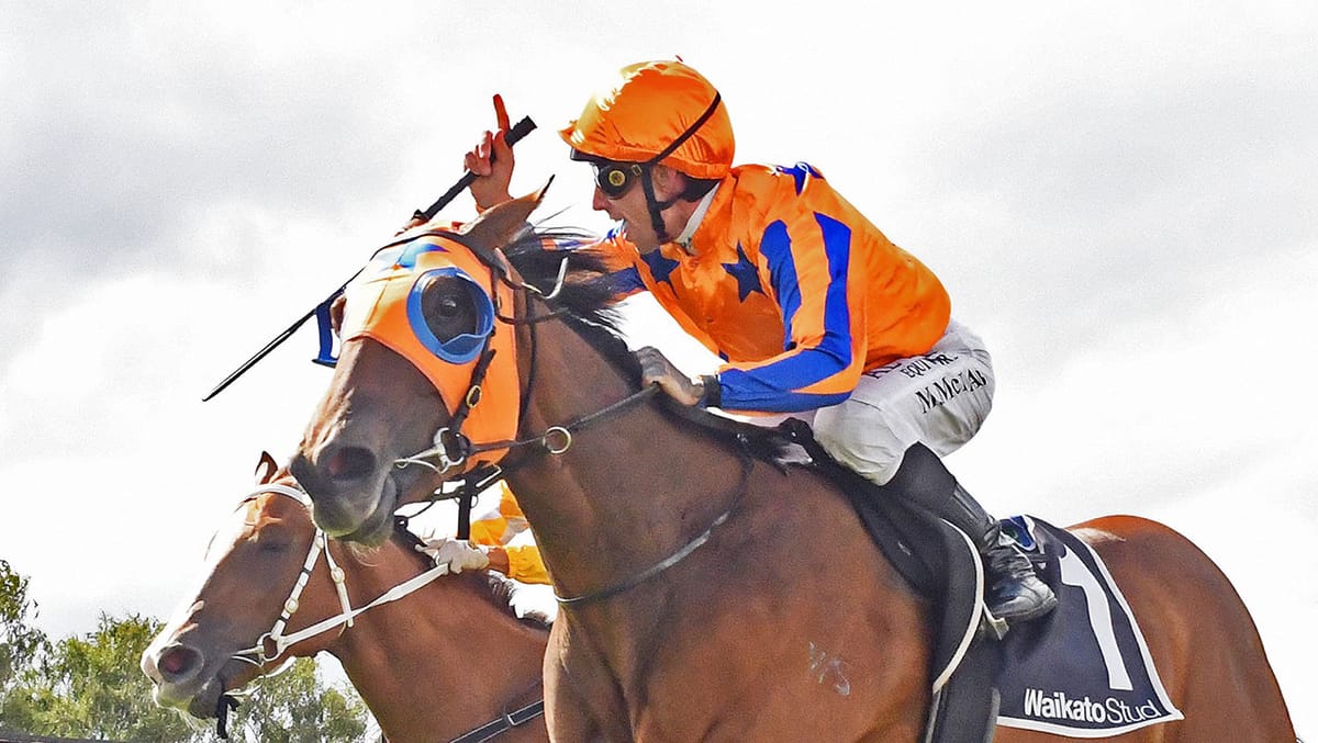 La Dorada claims local victory in Matamata feature