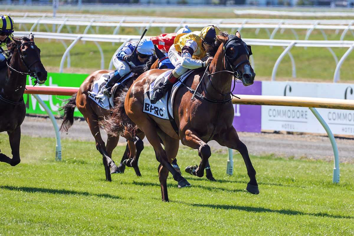 Lilly flying ahead of stakes debut