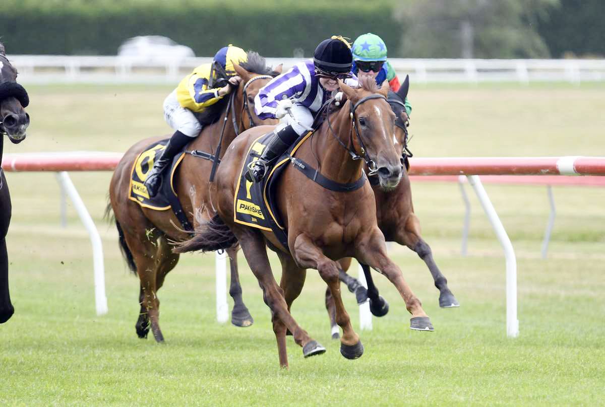 King enjoying strong start with Mid Ocean