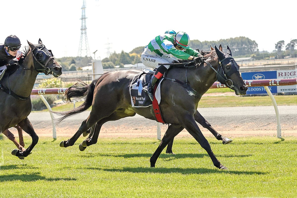 Monaghan Boy brings up milestone for Tyler