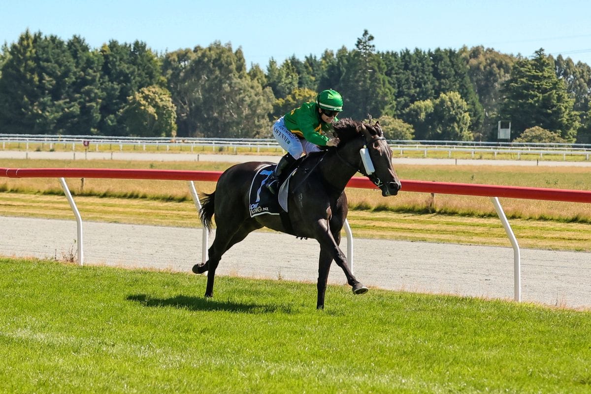 Pivotal Ten sensational in Gore Guineas romp