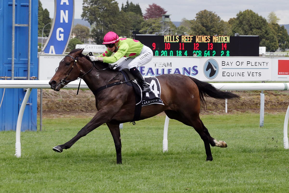 Consistent Myakkabelle on track for Oaks dress rehearsal
